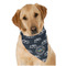 Airstream Club International Logo Bandana - On Dog