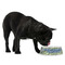 WBCCI Heritage logo Plastic Pet Bowls - Medium - Lifestyle