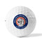 Wally Byam Airstream Club logo Golf Balls - Titleist - Set of 3 - FRONT