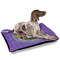 Streamin' on the Strand Outdoor Dog Beds - Large - IN CONTEXT