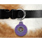 Streamin' on the Strand Round Pet Tag on Collar & Dog