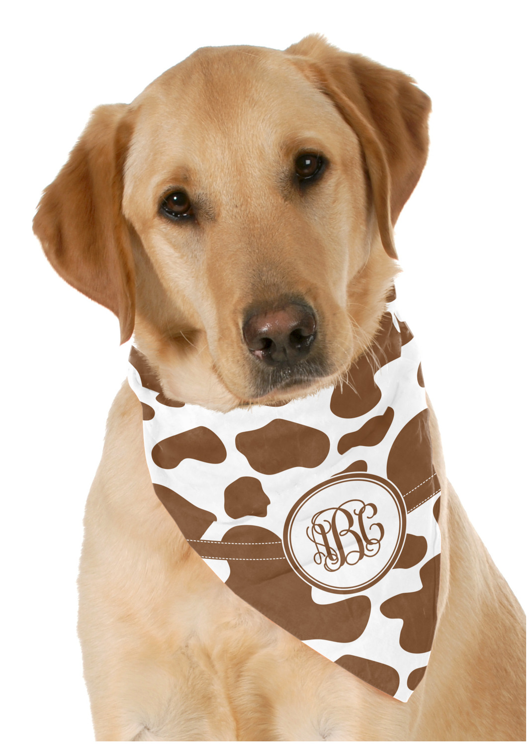 Custom printed 2024 dog bandanas