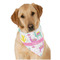 Llamas Bandana - On Dog