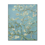 Almond Blossoms (Van Gogh) Wood Print - 16x20