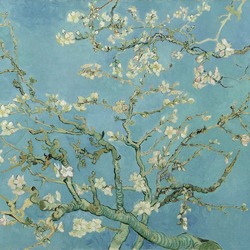 Almond Blossoms (Van Gogh)