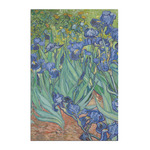 Irises (Van Gogh) Posters - Matte - 20x30