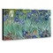 Irises (Van Gogh) Coat Hanger Main