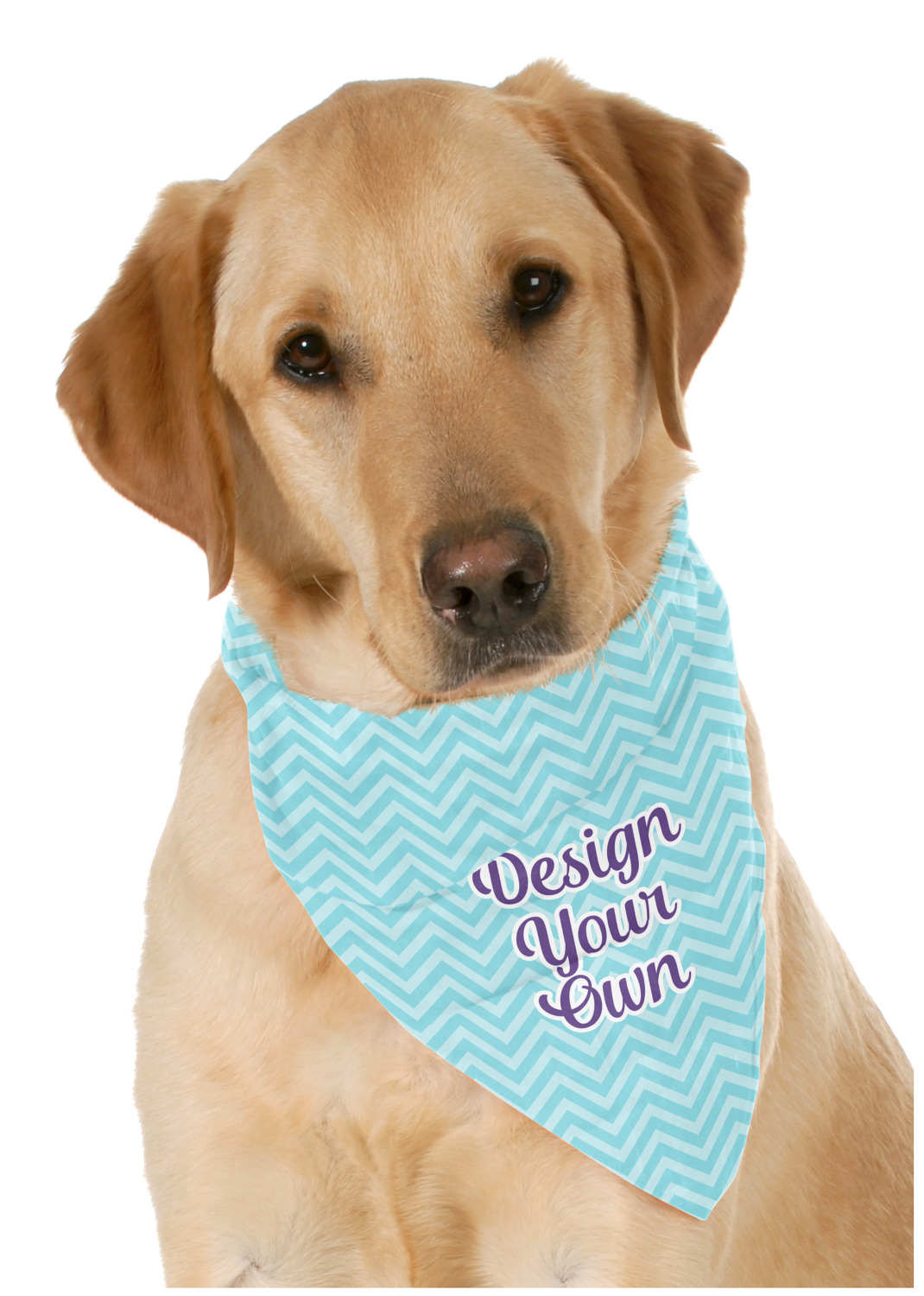 design your own dog bandana