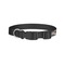 Graduating Students Dog Collar - Small - Back