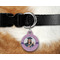 Graduation Round Pet Tag on Collar & Dog