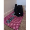 Image Uploaded for Dorothy Dane Review of Design Your Own Dog Food Mat