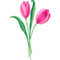 Tulips Templates for Canvas Checkbook Covers