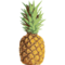 Pineapple Templates for Laptop Sleeves / Cases - 15