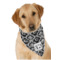 Custom Design - Bandana - On Dog