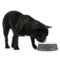 Custom Design - Plastic Pet Bowls - Medium - Lifestyle