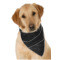 Custom Design - Bandana - On Dog