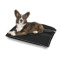 Custom Design - Outdoor Dog Beds - Medium - IN CONTEXT