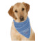 Custom Design - Bandana - On Dog